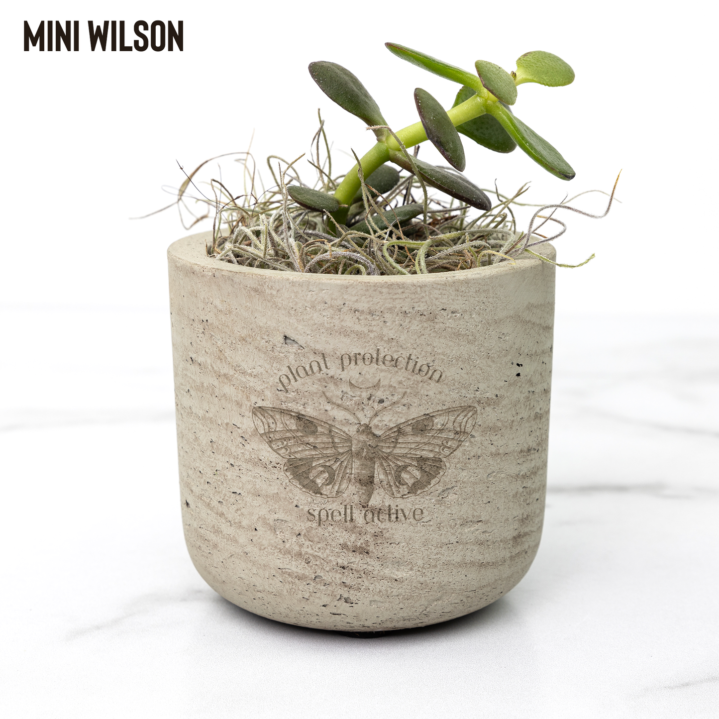 Plant_Protection_Spell_Active_Laser-_Wilson_Mockup_Mockup.png